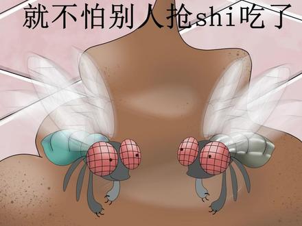 有的苍蝇肚子里有活蛆…#充能计划 #轻漫计划 #搞笑动画