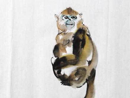 秦岭国宝,可爱的金丝猴,也是常见的猴画题材#国画 #国画教程