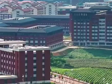 贵医7.23省内本科批录取分数线。#贵州医科大学 #高考录取