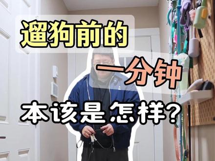 真正的“遛狗” 是一种和狗狗紧密的沟通,不是从出门开始,而是从你拿起绳子的那一刻开始。#狗狗心理学 #遛狗匠 #狗语者 #狗狗随行 #哈士奇