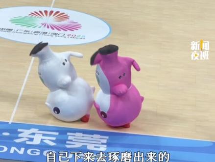 “大湾鸡”主理人回应吉祥物火出圈:全是由“10后”的武校生扮演,“卖萌”动作是他们自主琢磨的创意。#全运会 #大湾鸡 #吉祥物 #主理人