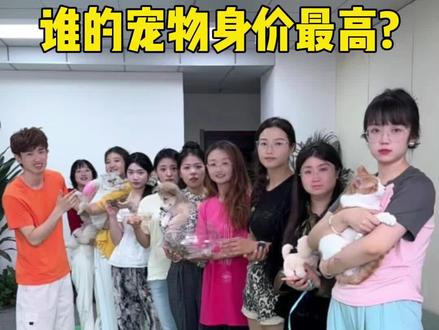 到底谁的宠物身价最高呢? #欢乐办公室 #原来可以这样玩 #办公室游戏