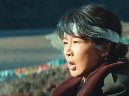 不要被评分骗了,杨紫的生命树真的好看#杨紫#生命树