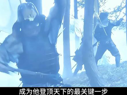 为什么贱岳合战,是丰臣秀吉掌控织田政权的关键 #战国 #丰臣秀吉 #柴田胜家 #贱岳合战 #织田信长