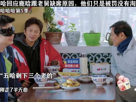 五哈回应鹿晗跟老舅缺席原因 #哈哈哈哈哈第5季
