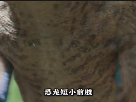 恐龙为什么要进化出短小的前肢#恐龙#前肢 #二创 #冷知识科普