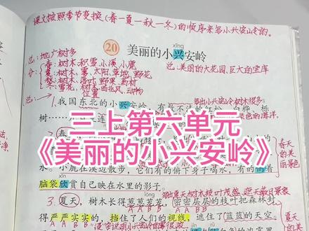 每天早上8点30分直播三年级每单元核心重点!第20课《美丽的小兴安岭》核心知识#三年级 #小学语文 #三年级上册语文