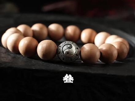 道家三世演禽相法,神奇的三世书#道悟语#三世书#民间故事 #占卜