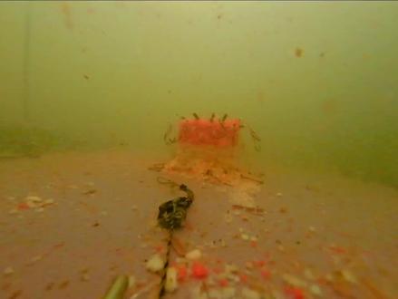 翻板钩钓鱼(上)一雾化诱鱼