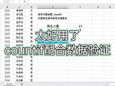 太好用了,countif函数配合数据验证#办公技巧 #计算机 #excel
