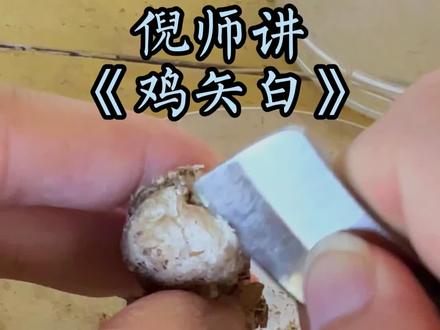 被下修改重新发布 #倪海厦