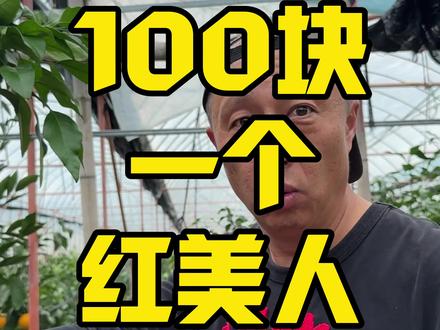 你吃过最贵的红美人是什么样的?象山核心区红美人,真的是橘子中的爱马仕!#新农人计划2023 #自家果园 #象山 #象山红美人#嫒媛