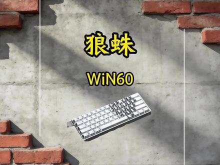 这个灯光效果是真的喜欢 #狼蛛win60