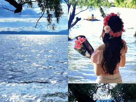 捞鱼河看日落路线指引!捞鱼河,你真的太美啦! #捞鱼河湿地公园 #昆明 #日落 #游玩攻略 #水杉