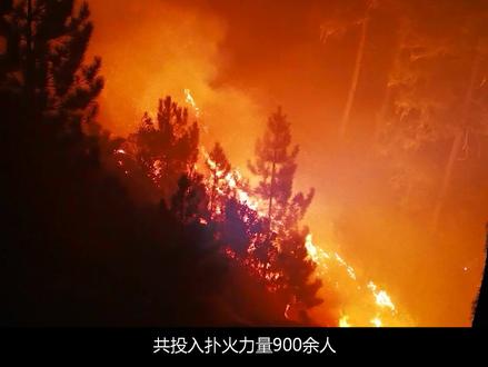 森林草原火灾警示教育片:火患猛于虎 警钟须长鸣 #森林防火dou行动 #警示教育