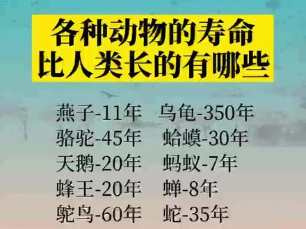 哪些动物寿命比人类还长#涨知识 #知识分享 #动物 #家庭教育 @抖音正能量 @抖音小助手 @茂君