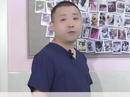 狗狗性格怎么样,数数下巴有几根胡须就知道 #狗狗 #狗狗的心思都写在脸上了 #萌宠出道计划 #萌宠 #冷知识