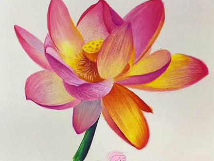 你还在这样画荷花,不妨看看 #彩铅 #恒古艺术 #画画