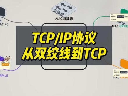 计算机网络TCP/IP协议-从双绞线到TCP #TCP/IP #TCP #UDP #计算机网络