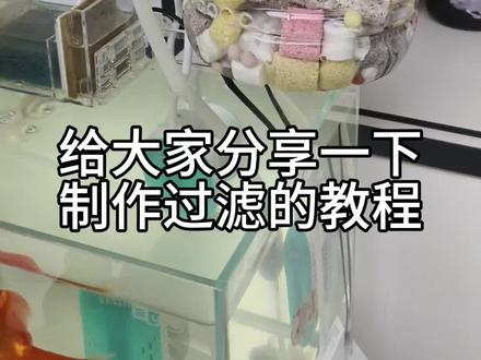 小型鱼缸就用这种过滤器,比市面上买的强的多,收藏起来自己动手做一个#鱼缸过滤 #过滤器 #制作过滤盒 #鱼缸过滤桶制作 #观赏鱼