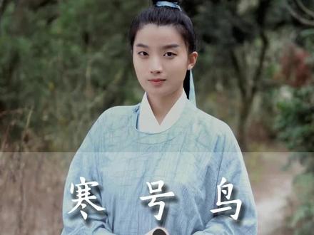 你当年没学错,寒号鸟就是鸟!#寒号鸟 #传统文化 #语文知识