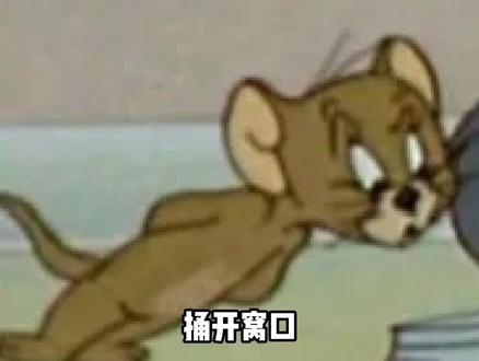 原来动物界的八卦这么炸裂 #搞笑 #燕子 #动物的迷惑行为 #英语