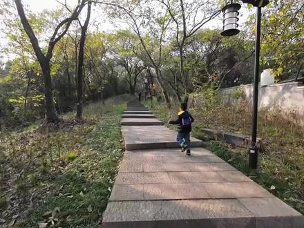 终于跟风解锁了这条登山徒步路线----萧山长山游步道
和以前从山脚爬到山顶不同,我们在山脊间行走,上山下山自由切换,风景优美视野开阔
对新手和小小朋友特别友好,来回3公里2小时,一点也不喊累
下山后还有满满电量冲游乐园,免费的哦!
自驾是最省力的,导航到“福庆寺”旁边就是上山口,门口和路旁都可以免费停车,但是对新手司机不友好,上山路很窄车辆交汇难度很大,在转弯处有一个很高的坡得小心
坐地铁的话,5号线姑娘桥站A口下,导航也是福庆寺,步行到入口1.6公里,需要20分钟
长山游步道是新建的, 一字型非环线,约5公里,全程走完约3小时,来回加倍。带娃低强度开车的家庭可以参考我们的路线,以福庆寺为起点和终点,走到1500米的山头就可以返回了,来回3公里,耗时2小时不到,非常适合新手小白
前半段会不断地上山下山,两旁有高高的树荫绿植,我们秋天去的,五颜六色很漂亮,台阶很宽而且平缓走起来很轻松,会经过一个啤酒厂储水桶正在改造,到达瞭望台可以登高,看看城市风景
后半段就像行走在山脊上,一路视野很宽阔,远处是即将到达的山头,低处是城市的高楼大厦,回头打卡经典人生照片(首图)
最后有一小段持续上坡会有点累,到山头就可以俯瞰美景,边惬意的吃吃东西补充能量,边看头上一架一架飞机飞过,离机场近有很多飞机
原路返回后,开车6分钟就到中国花木城,也叫国防教育基地,里面停了很多飞机、坦克、空间站,模型很大有些还可以爬进去,这对男孩子来说简直太爱了。另外还有好多无动力游乐设施,攀爬、滑梯、荡秋千非常丰富,我们玩到天黑都不愿意走,关键是全部都免费,下篇详细介绍这个神奇的游乐园
#人类幼崽成长计划 #杭州周末去哪玩 #杭州爬山 #萧山长山游步道 #亲子游玩好去处