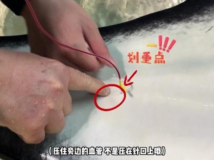 一本正经的虎鲸采血教程,你学会了吗? #长隆虎鲸大家族 #动物科普 #动物福利 #动物体检
