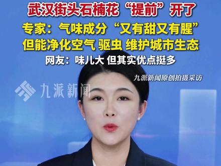 武汉街头石楠花“提前”开了,专家:气味成分“又有甜又有腥”,但能净化空气、驱虫,维护城市生态,网友:味儿大,但其实优点挺多#武汉
