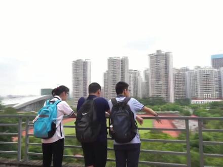 南宁二中730分学神-杨晨煜@李老丝 @各人各世界 @交个朋友吧哈哈 @慌小虾 @英子