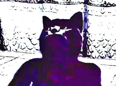 拔罐猫蓝猫打脸合集#抽象 #壁纸动态