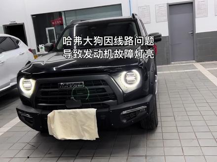 哈弗大狗追猎版因线路故障导致发动机故障灯亮 启动 #汽车电子 #汽车电器维修 #汽车电路