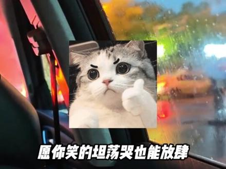 这一刻 幸福具象化了 #首先你要快乐其次都是其次 #日常分享 #车里唱歌 #合唱