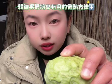 简单粗暴有用的释迦果催熟方法⬇️#释迦果 #释迦果催熟 #牛奶凤梨释迦果 #云南恒嘉供应链 #土掉渣农业