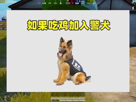 如果吃鸡加入警犬会怎样?将有3个改变,老6将无处可躲