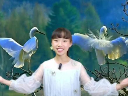 白鹭实在是一首诗,
一首韵在骨子里的散文诗。
这篇五年级上册的课文写得太美了#少儿朗诵 #白鹭 #小学生朗诵 #课文朗读 #小学语文