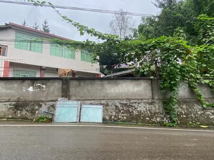 如何画出宫崎骏式的围墙? #手绘 #宫崎骏 #DOU上热门