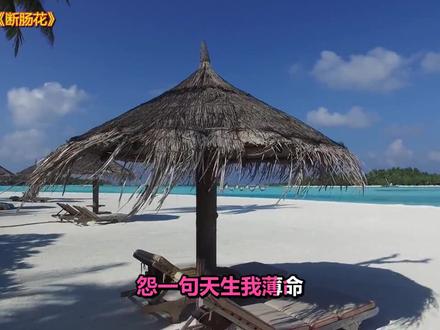 六十年代新加坡女歌手丽莎,歌声甜美,20首粤语金曲邀您一起欣赏