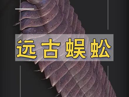 #史前巨兽 远古蜈蚣,生活在石炭纪时期,二叠纪时期灭绝,体长可达2.6米!