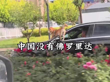 中国没有佛罗里达 #佛罗里达州不养闲人 #中国自己的佛罗里达