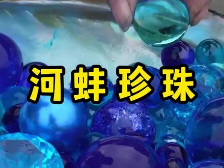替粉丝捡河蚌第三天 #河蚌开珍珠 #三农流量扶持计划