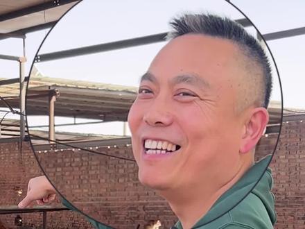 配种时间如何做到精准?#养牛人 #三农 #科学养牛