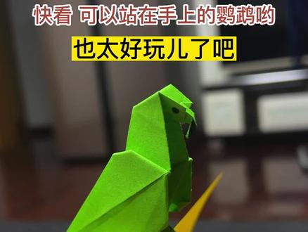 可以站在手上的鹦鹉也太可爱了吧,赶快收藏起来周末和孩子一起折吧#亲子手工 #自制玩具 #鹦鹉折纸 #折纸 #创作灵感 #原创 #手工diy @抖音小助手