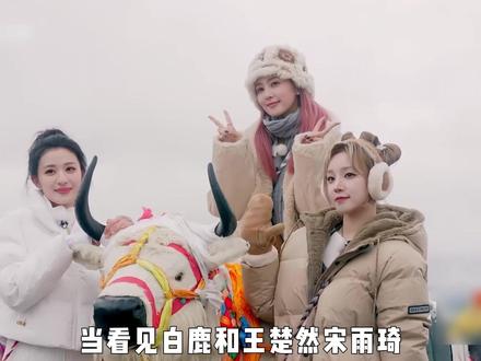 白鹿挑战ai照片消除游戏,输不起直接黑脸,真实性格彻底暴露 #白鹿 #王楚然 #宋雨琦 #李晨 #奔跑吧
