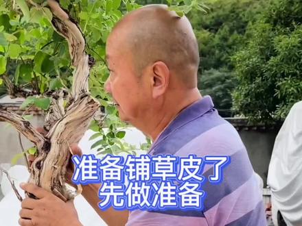 准备移植草皮,先把前期工作准备好#旧房改造 #乡村守护人 #农村生活 #创作灵感