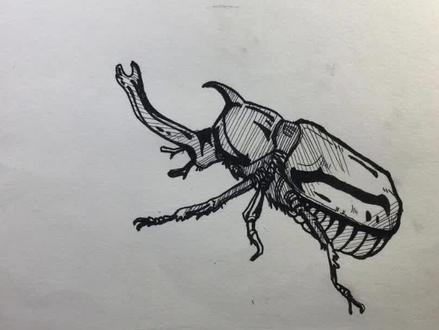 简笔画教程,零基础很简单的独角仙 #零基础学画画 #简笔画教程 #绘画#冬奥会