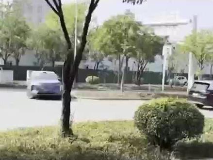 全家出行,有大唐就够了#D级SUV大唐全球首发亮相 #最强D级SUV空间 #大唐EV续航950公里 #9系SUV没有对比就没有伤害 #D级SUV的顶级掌控感