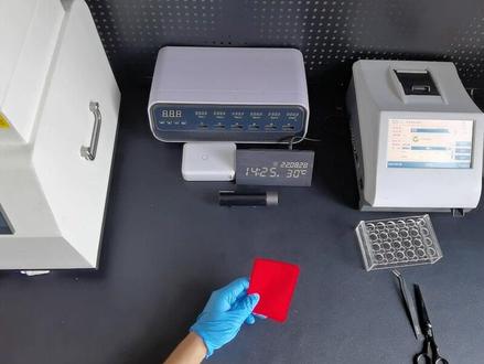 毛发验毒检测一般使用哪个部位的毛发?毛发检测需要使用多少厘米长多少量?资深毛发检测技术员告诉你#毛发检测 #毛发验毒 #毛发验毒机构#正光毛发检测