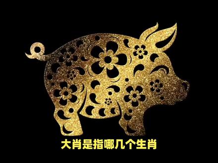 大肖是指哪几个生肖? #内容启发搜索