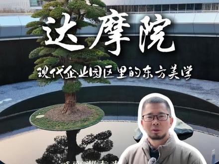 东方美学的园区景观:杭州阿里南湖科学园(达摩院)#东方美学 #园林 #景观设计 #园区 #达摩院